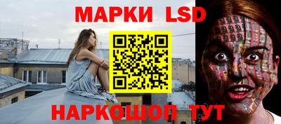 меф Гатчина