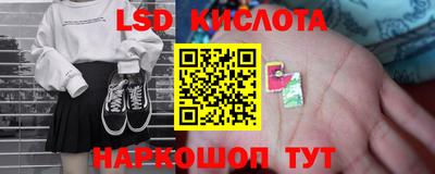 меф Гатчина