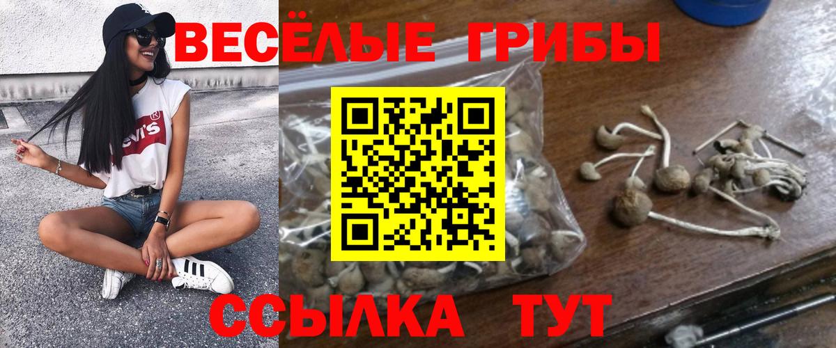 Псилоцибиновые грибы Magic Shrooms Междуреченск