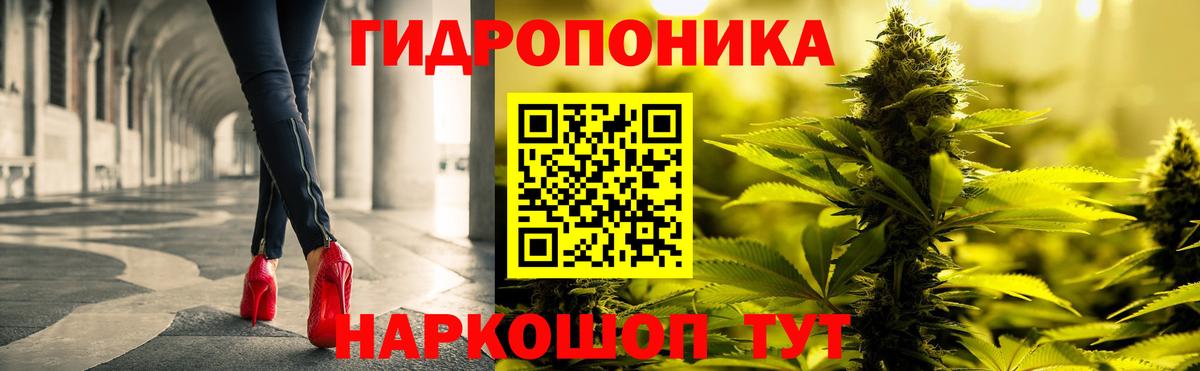 Бошки Шишки сатива  Марихуана индика  Вход с VPN  Марихуана VHQ  Конопля White Widow  Междуреченск 
